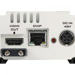HBT-11_rear